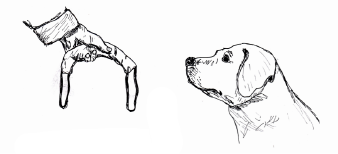 Controlled Panting: Stops panting when distracted with a reward