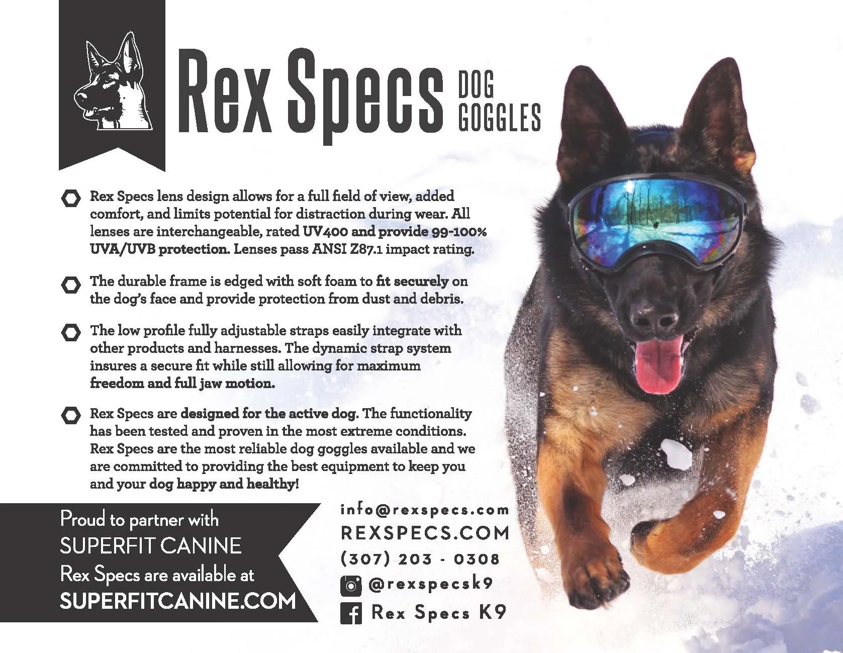 do cats spray when they are in heat