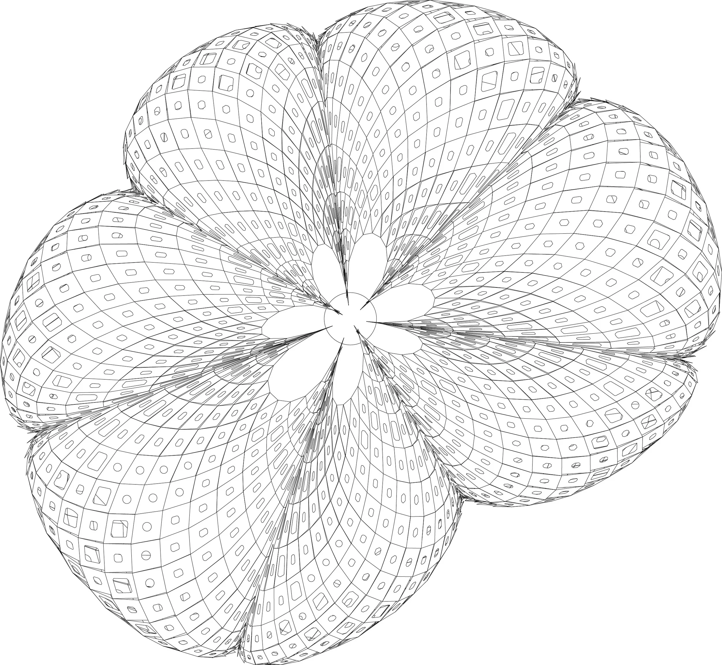 para  line drawing@.jpg