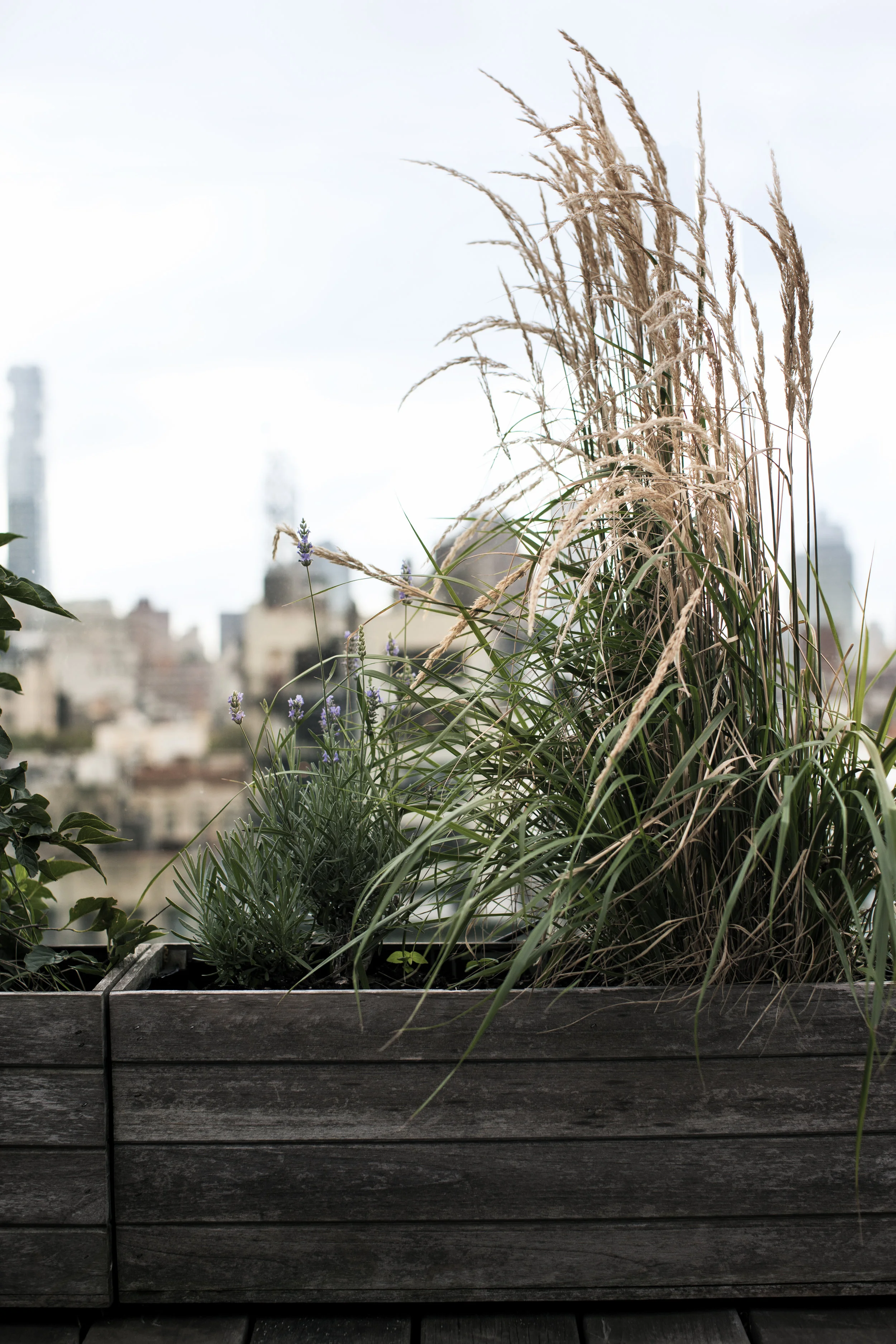 072417_CAA_ 208_V4.jpg