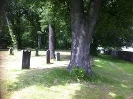 bully's acre.jpg