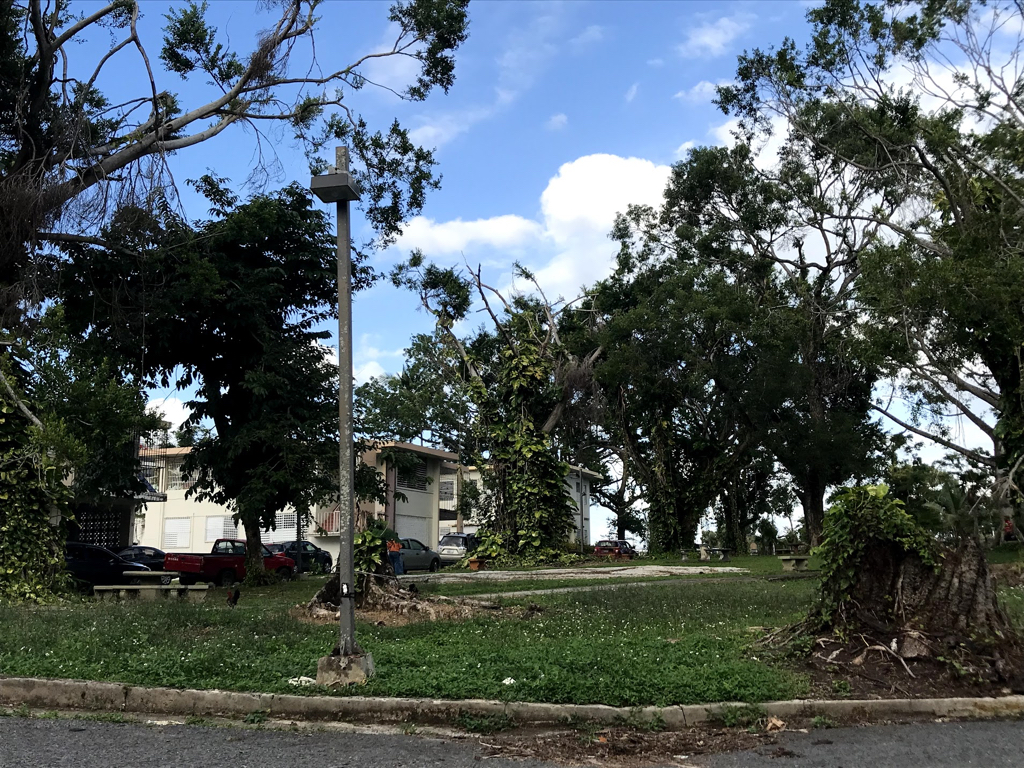 The seminary grounds and buildings sustained damage in the hurricane.