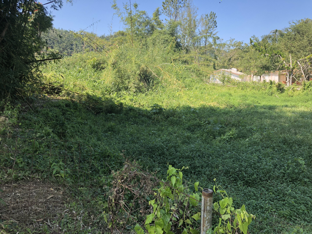 Prior to the storm, this was a pond. The hurricane ripped trees and other vegetation from the ground, and once gone, their root systems were no longer in place to provide stability to the soil, resulting in significant erosion. This pond, located at the top of an embankment, drained away as the banks at the edge eroded with the loss of vegetation.