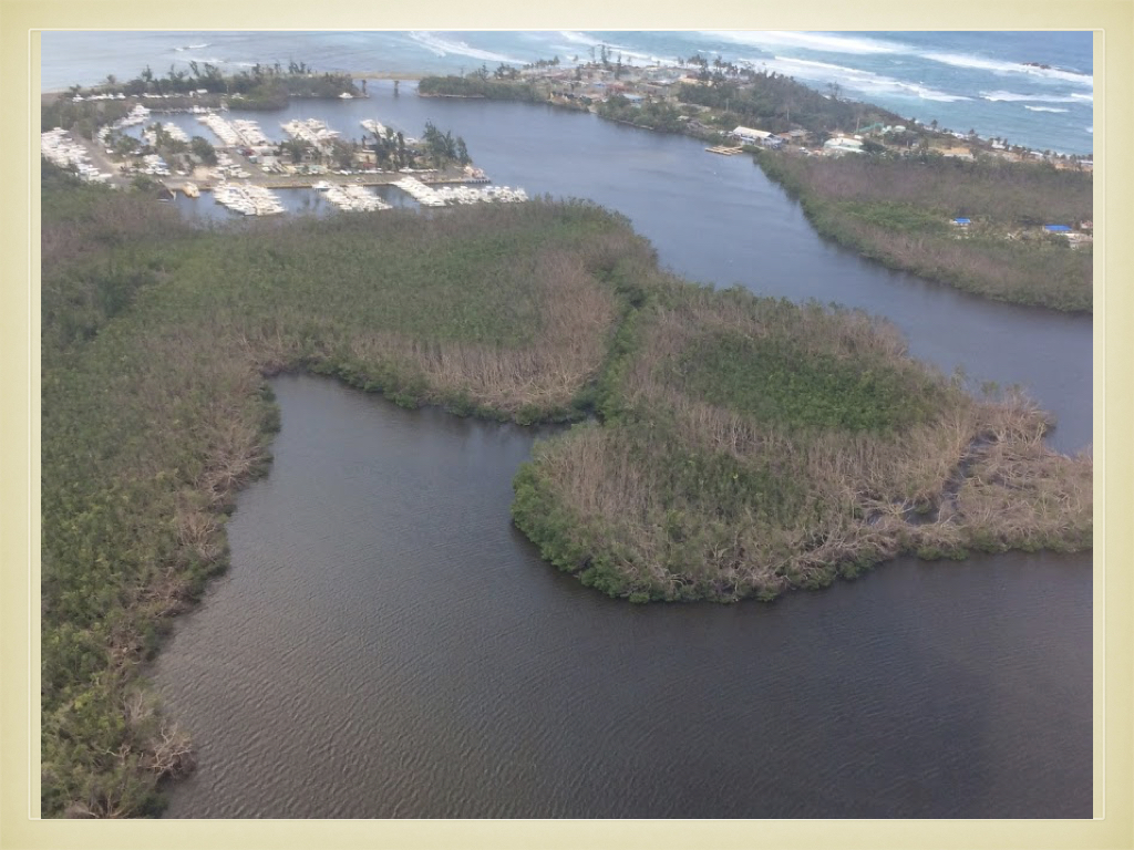 While Mother Nature is resilient, the lingering effects of the damage only hints at the earlier devastation.
