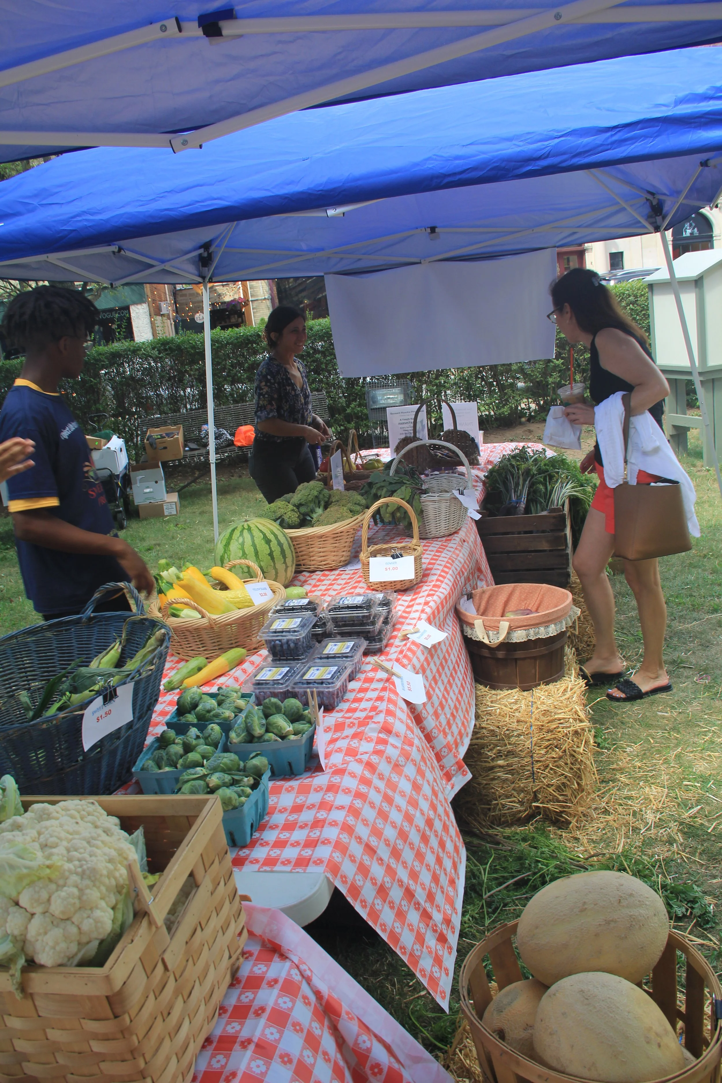 Matthew 25 In Action : Summer Entrepreneurship Program