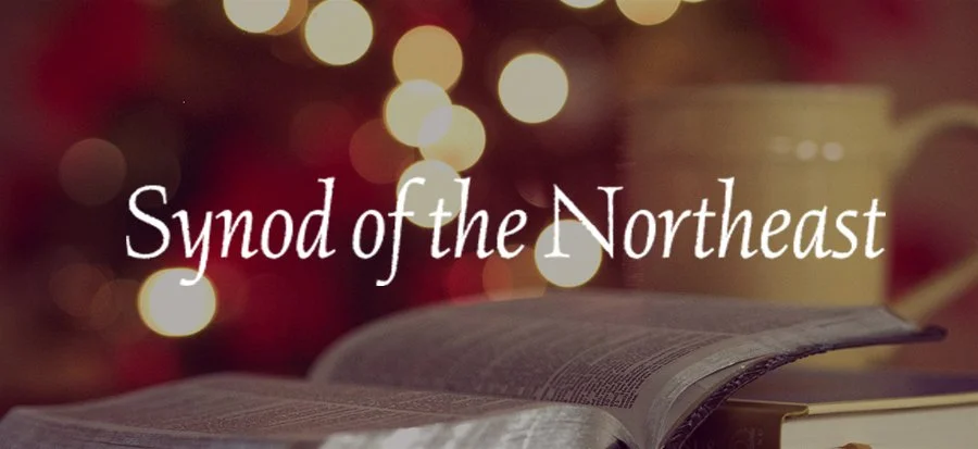 Christmas Letter to the Synod