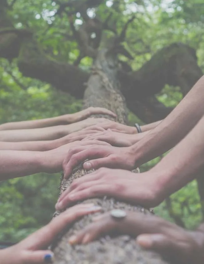 Supporting New Communities of Faith