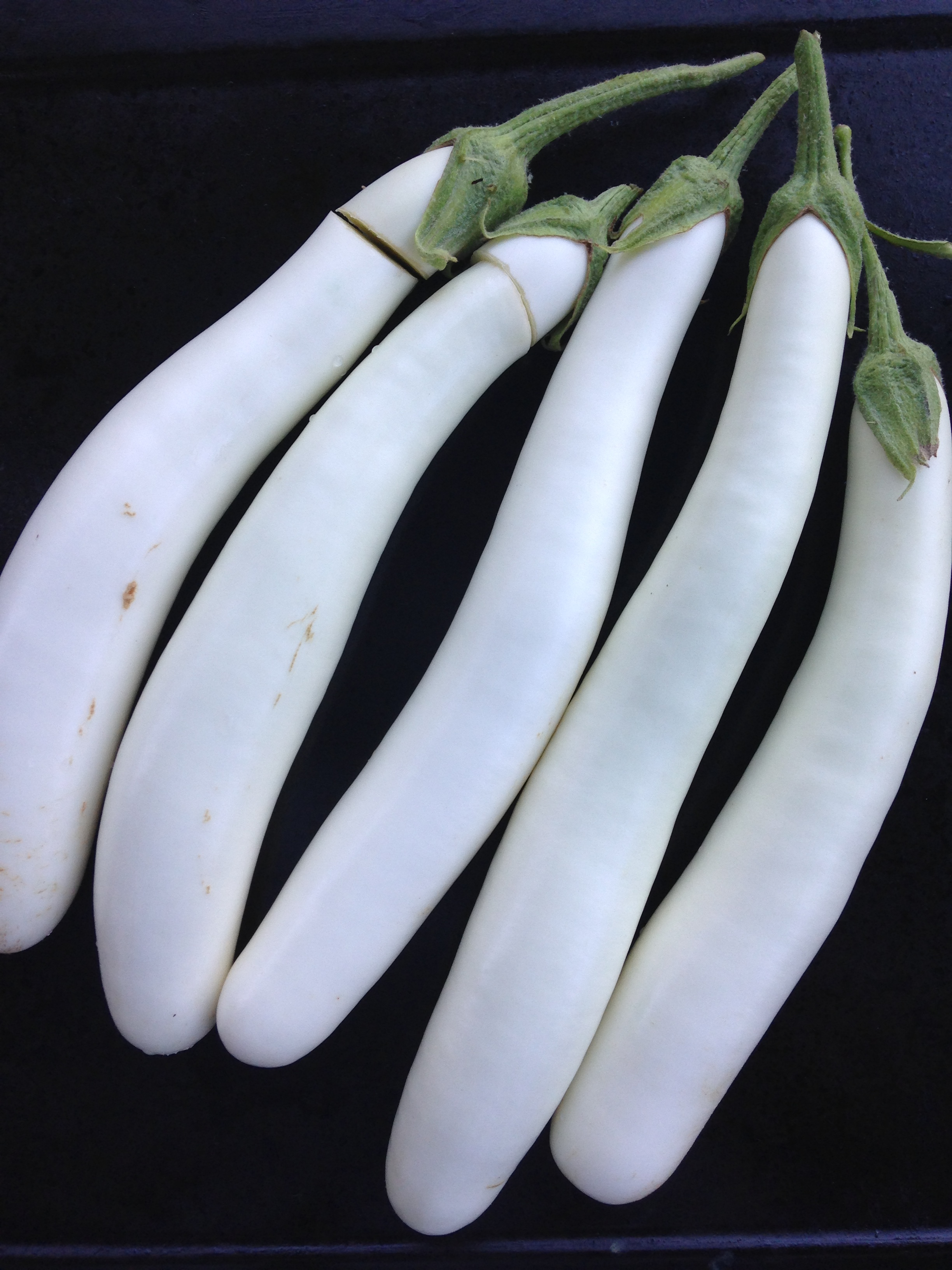 Full grown 'Gretel' eggplants!