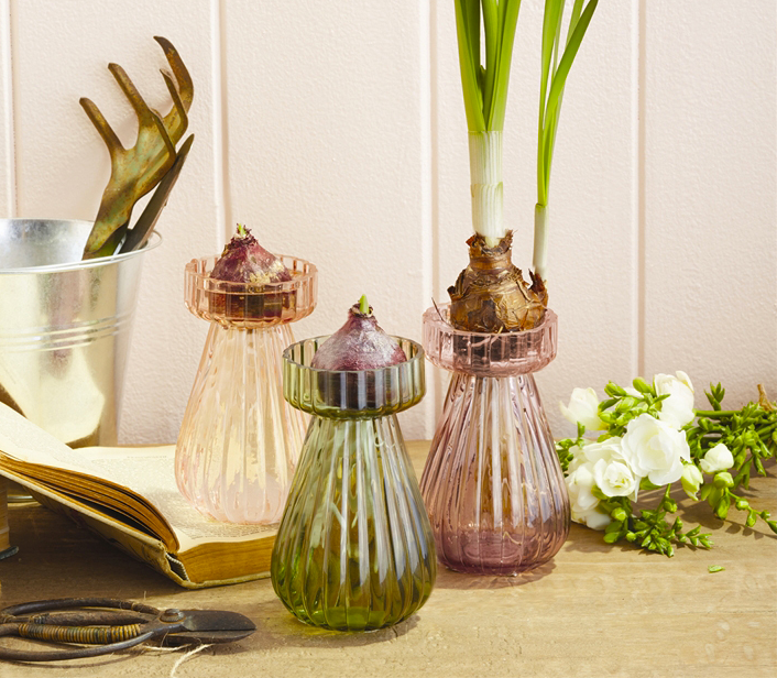 Handblown Bulb Forcing Glass Vase via Elizabeth's Embellishments