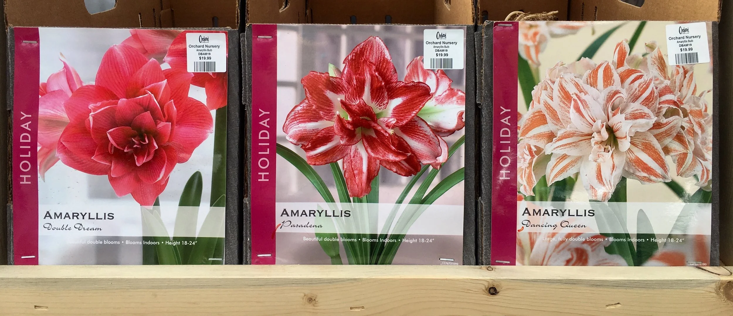 A few of our varieties!