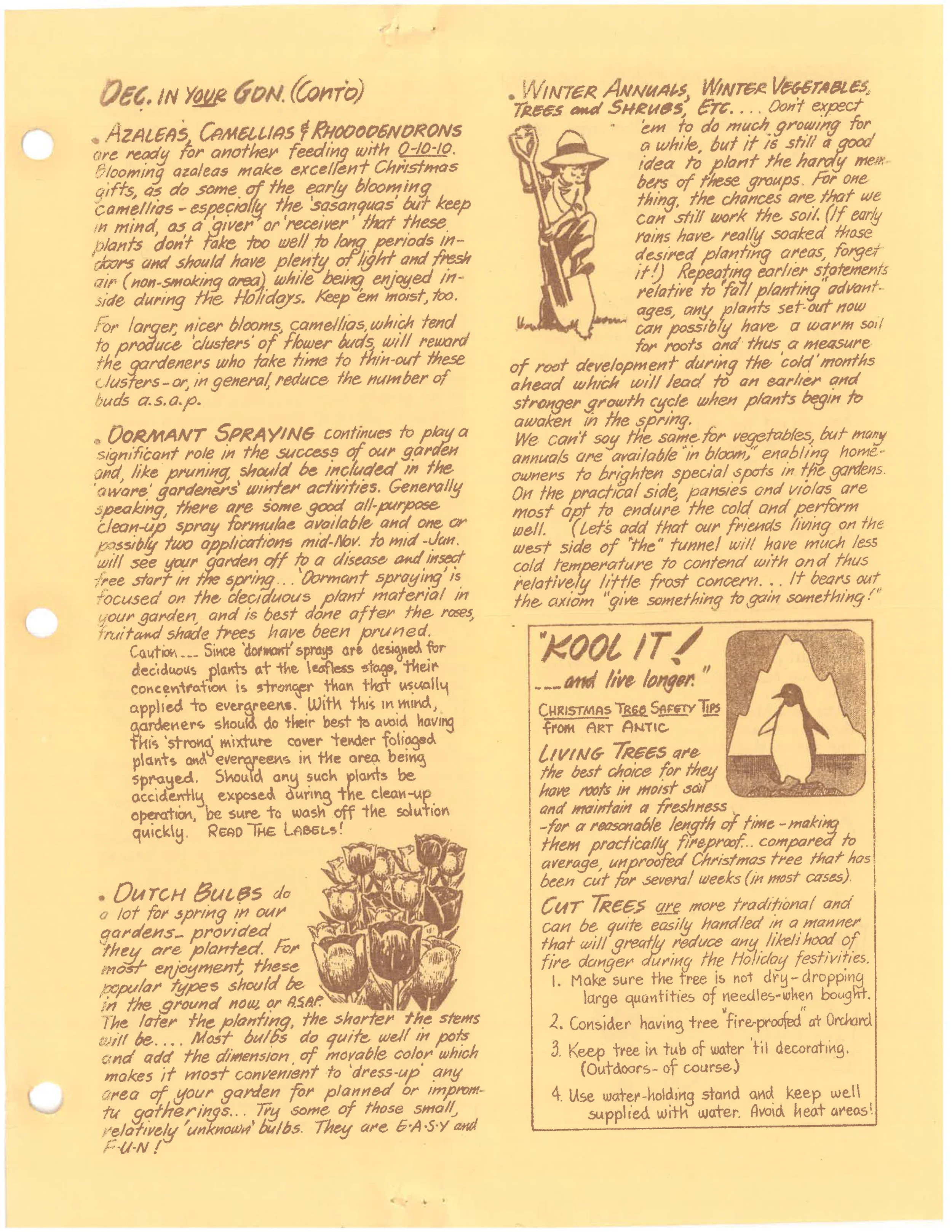 1985-newsletter-pg3.jpg