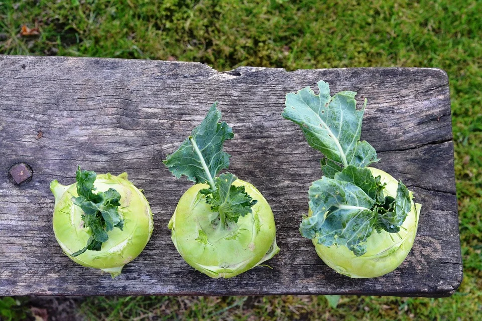 kohlrabi.jpg