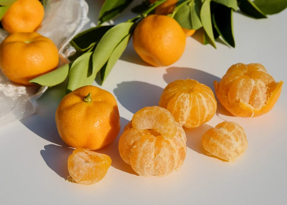 Citrus Care 101