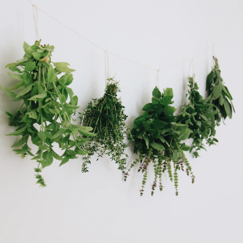 Air drying herbs double as decor!