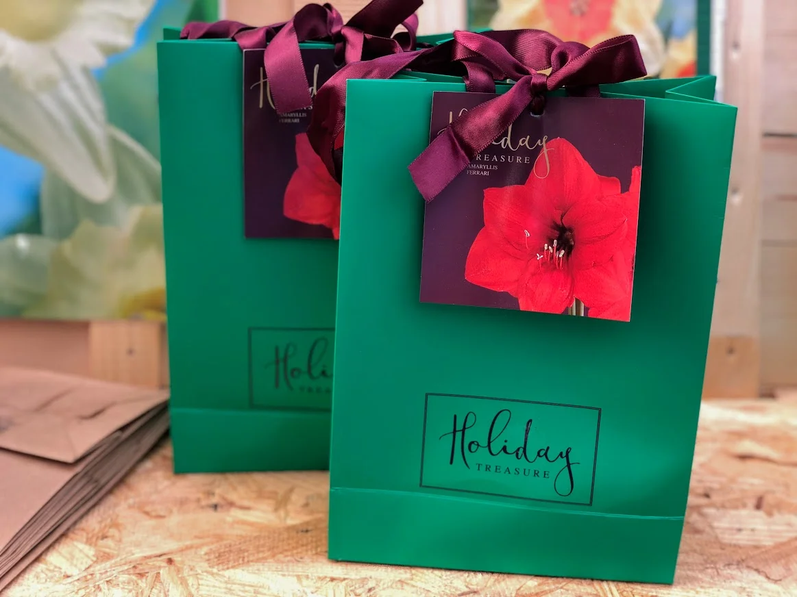 Our giftable Amaryllis bow-and-all! Paperwhites also available packaged up too!