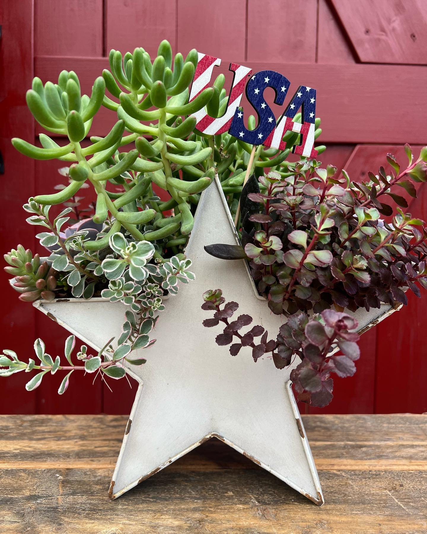 We have a great selection of flowering color bowls, succulent arrangements and daisy cache pots for your July 4th celebrations! &hearts;️🩵 

Note that we will be closed Thursday, July 4th.