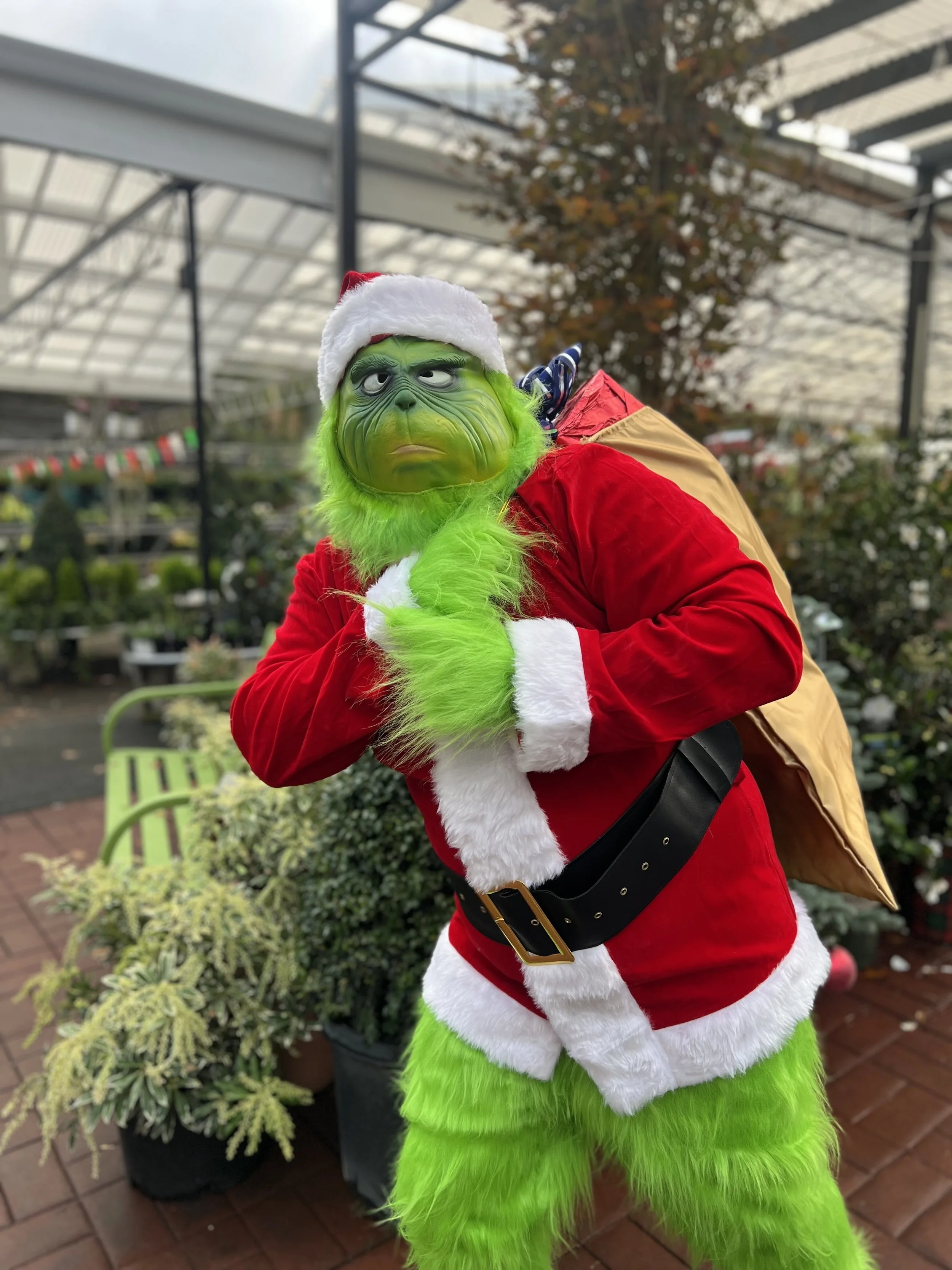 Christmas Tree Lot Grand Opening