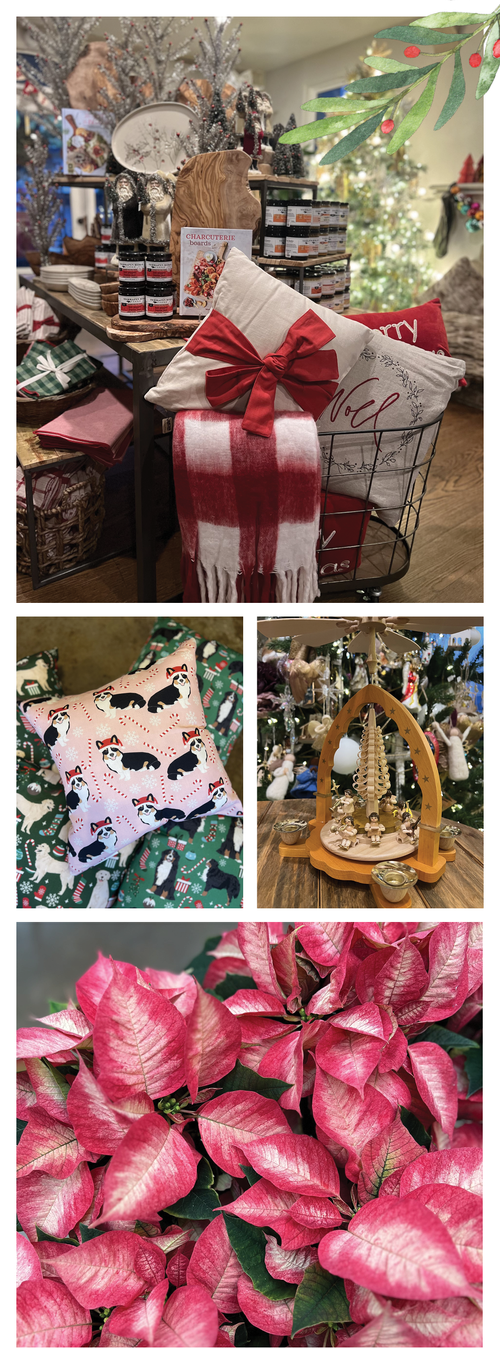 Orchard Nursery Lafayette, CA