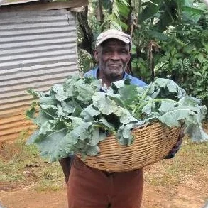 cabbageman.jpg