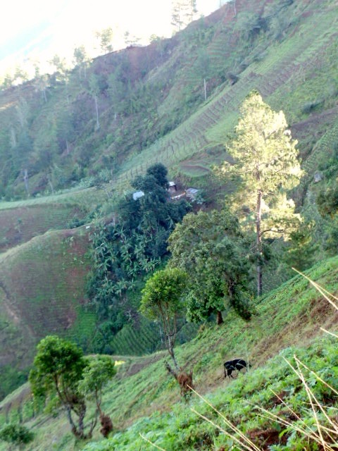 DSC05443.jpeg