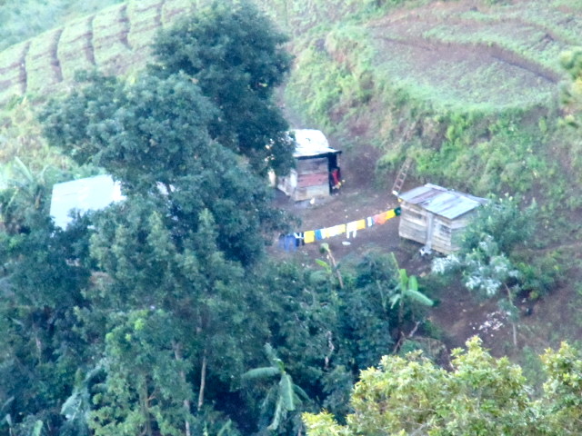 DSC05444.jpeg