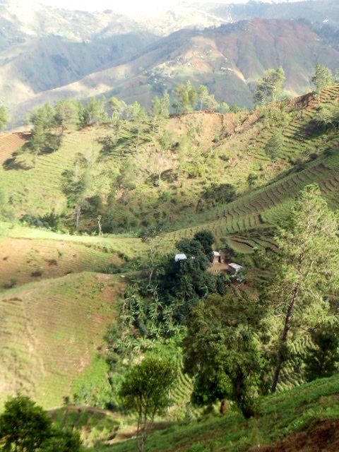 DSC05586.jpeg