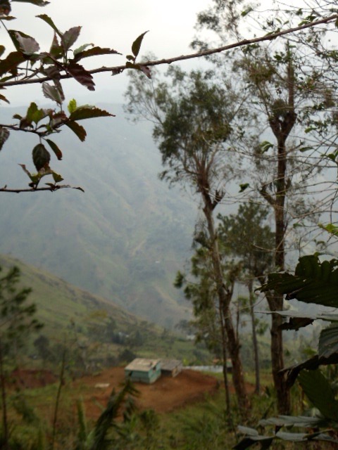 DSC05620.jpeg