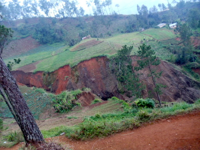 DSC05622.jpeg