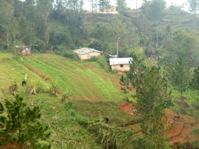 DSC05623.jpeg