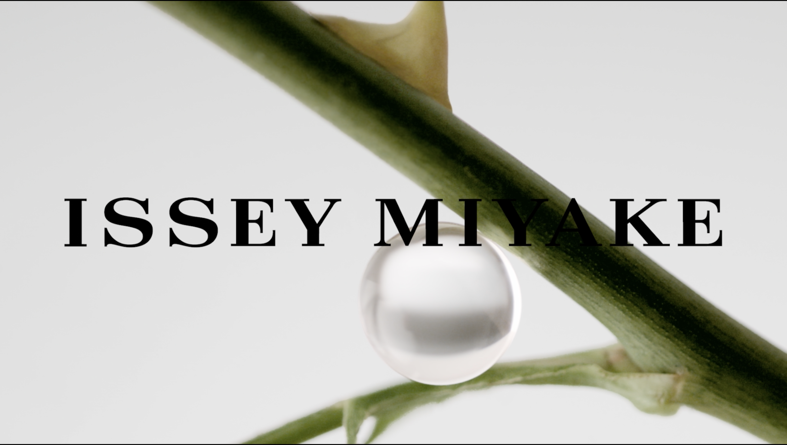 IM_Rose_Rose.png