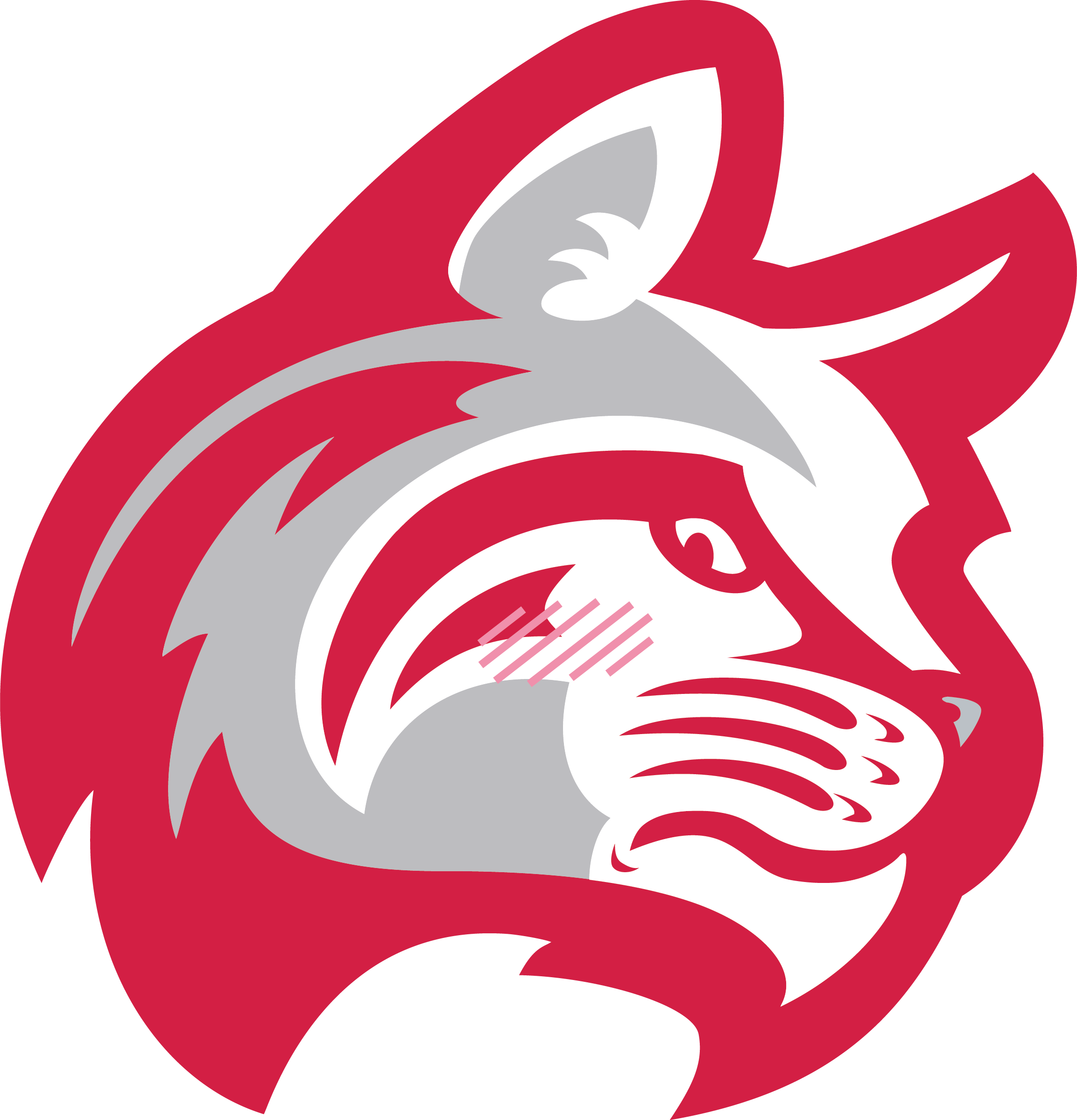 Wildcat Head Embarrassed.png