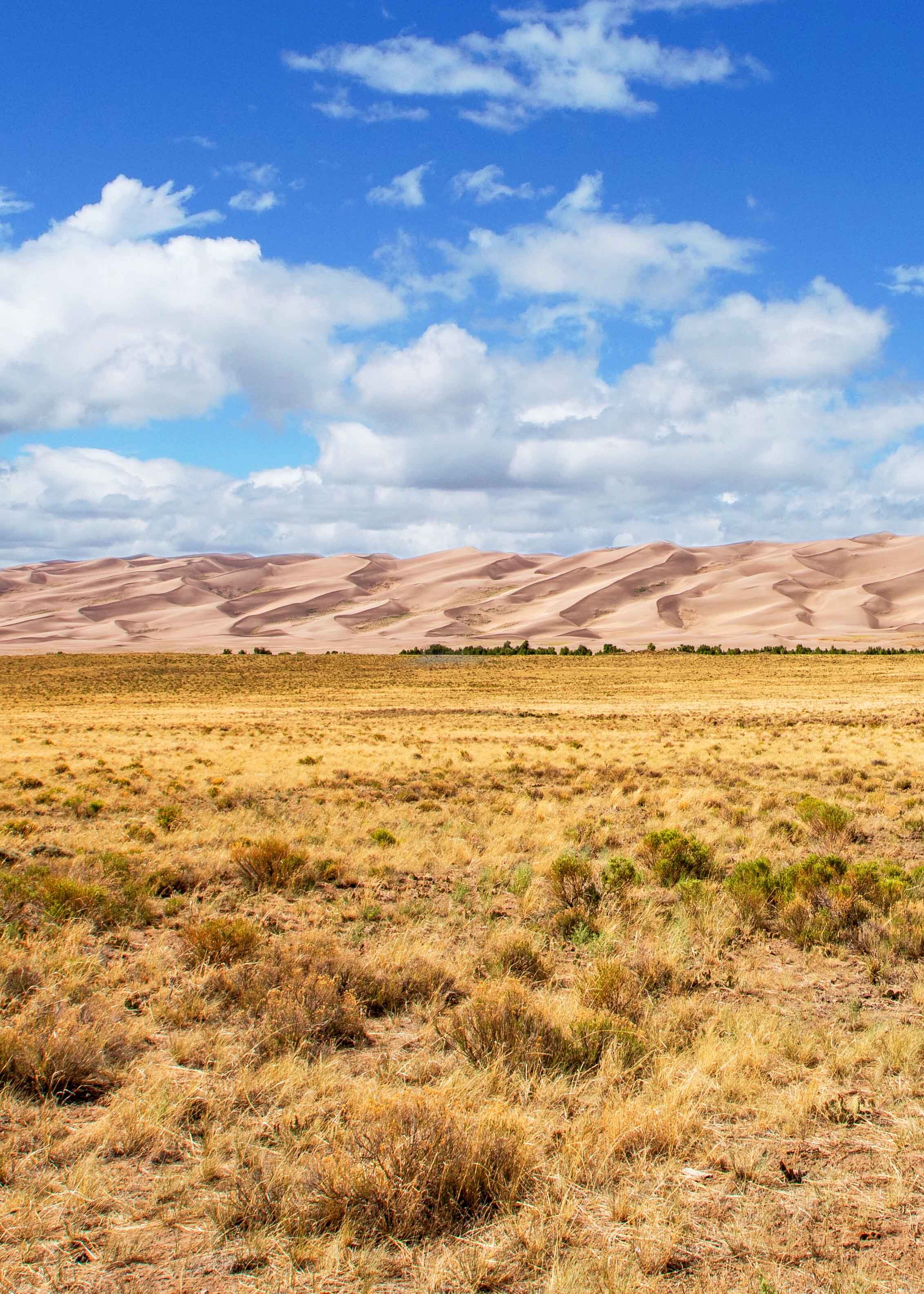 austin-texas-lifestyle-photographer-great-sand-dunes-national-park