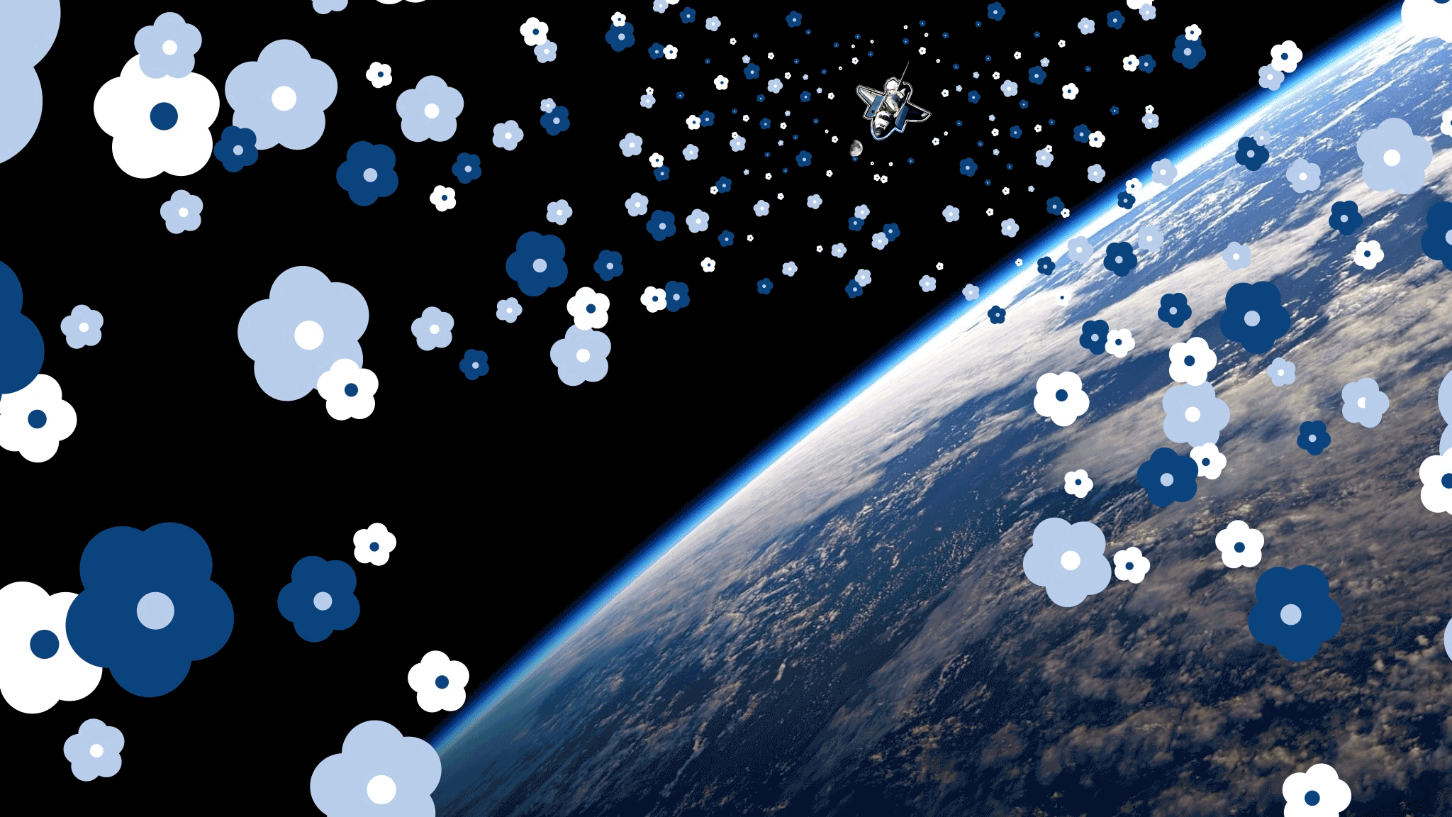 FlowersInSpace.gif