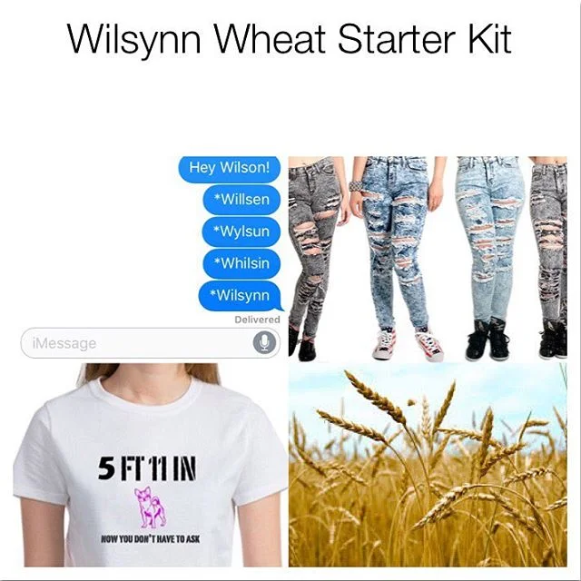 @wilsynnnn