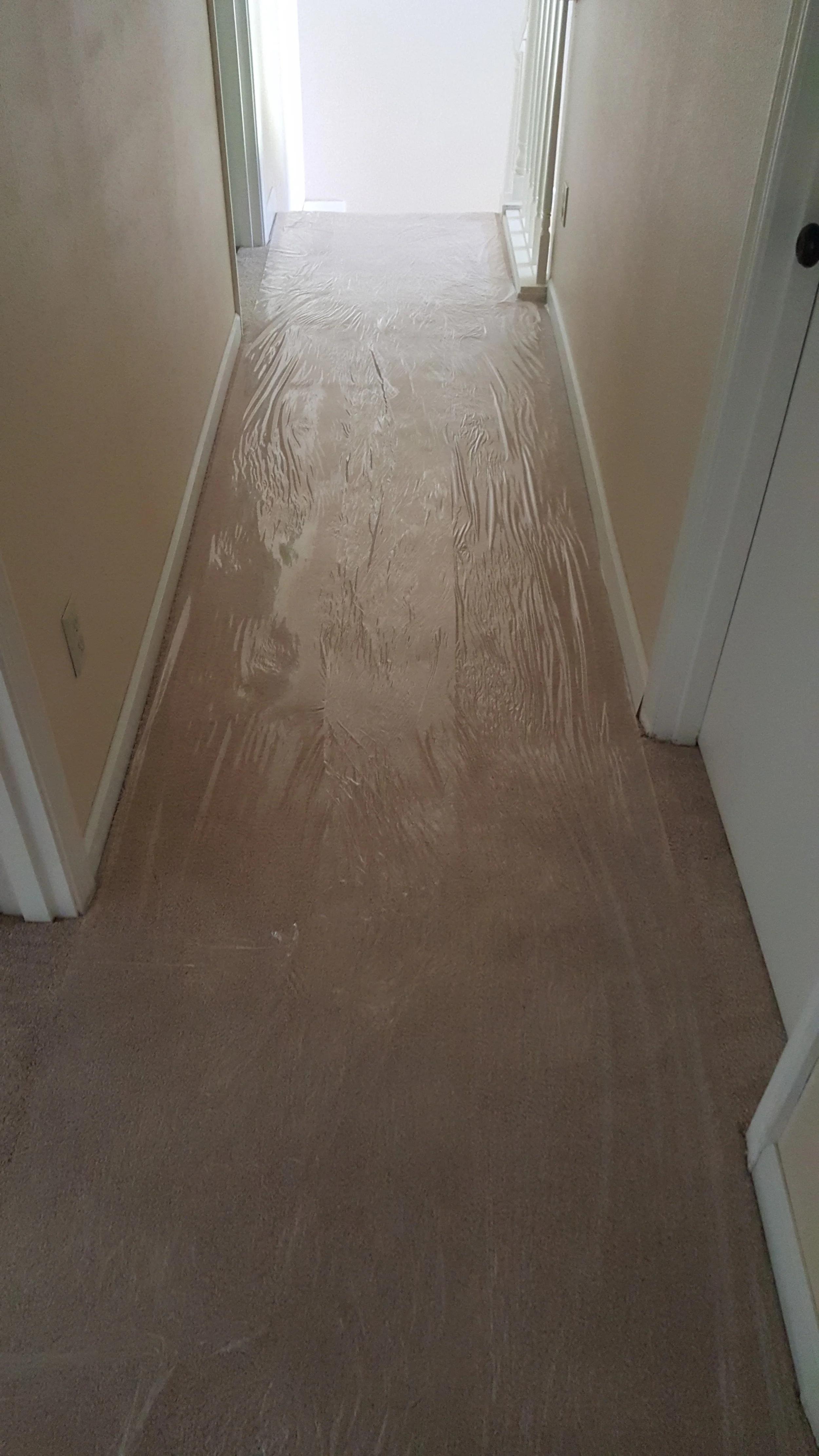 keeping it clean 1.jpeg