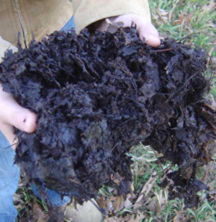 Leaf Mulch