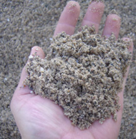 Washed Sand