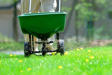 Lawn Fertilization & Weed Control
