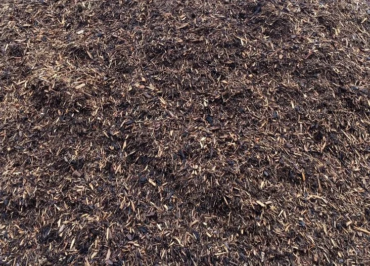 Hardwood Bark