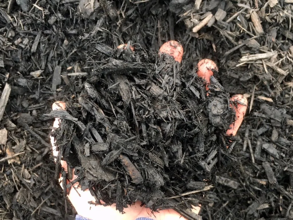 Color Enhanced Black Mulch