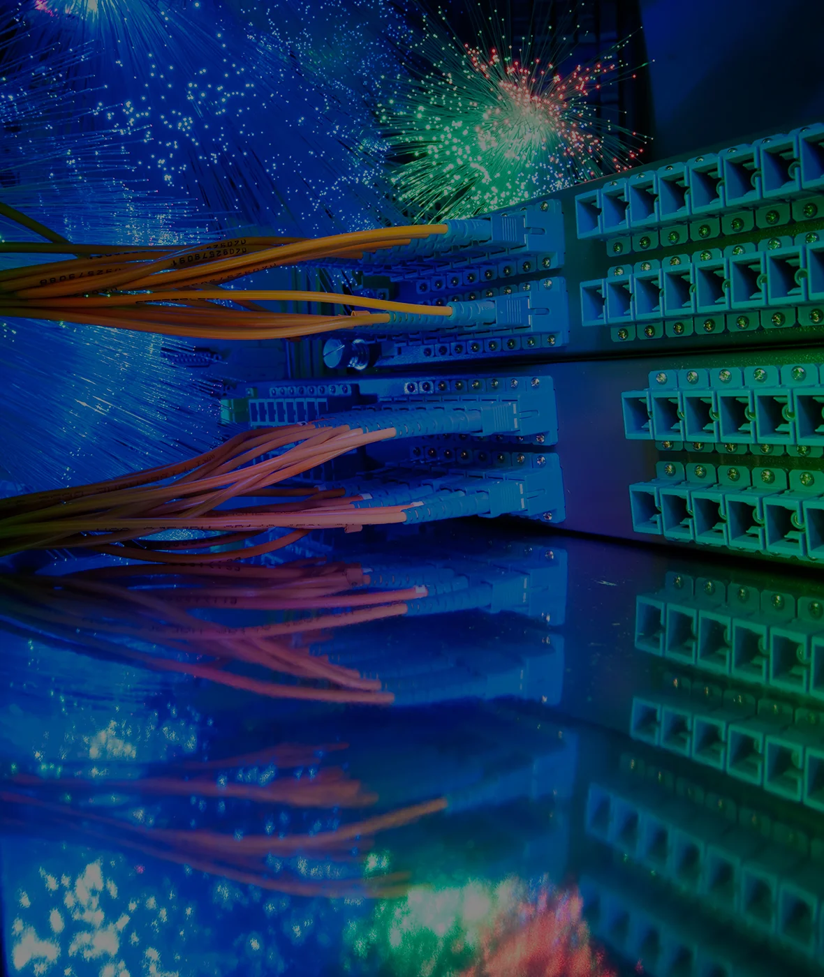 iStock_000016220200_Large_lo2.jpg
