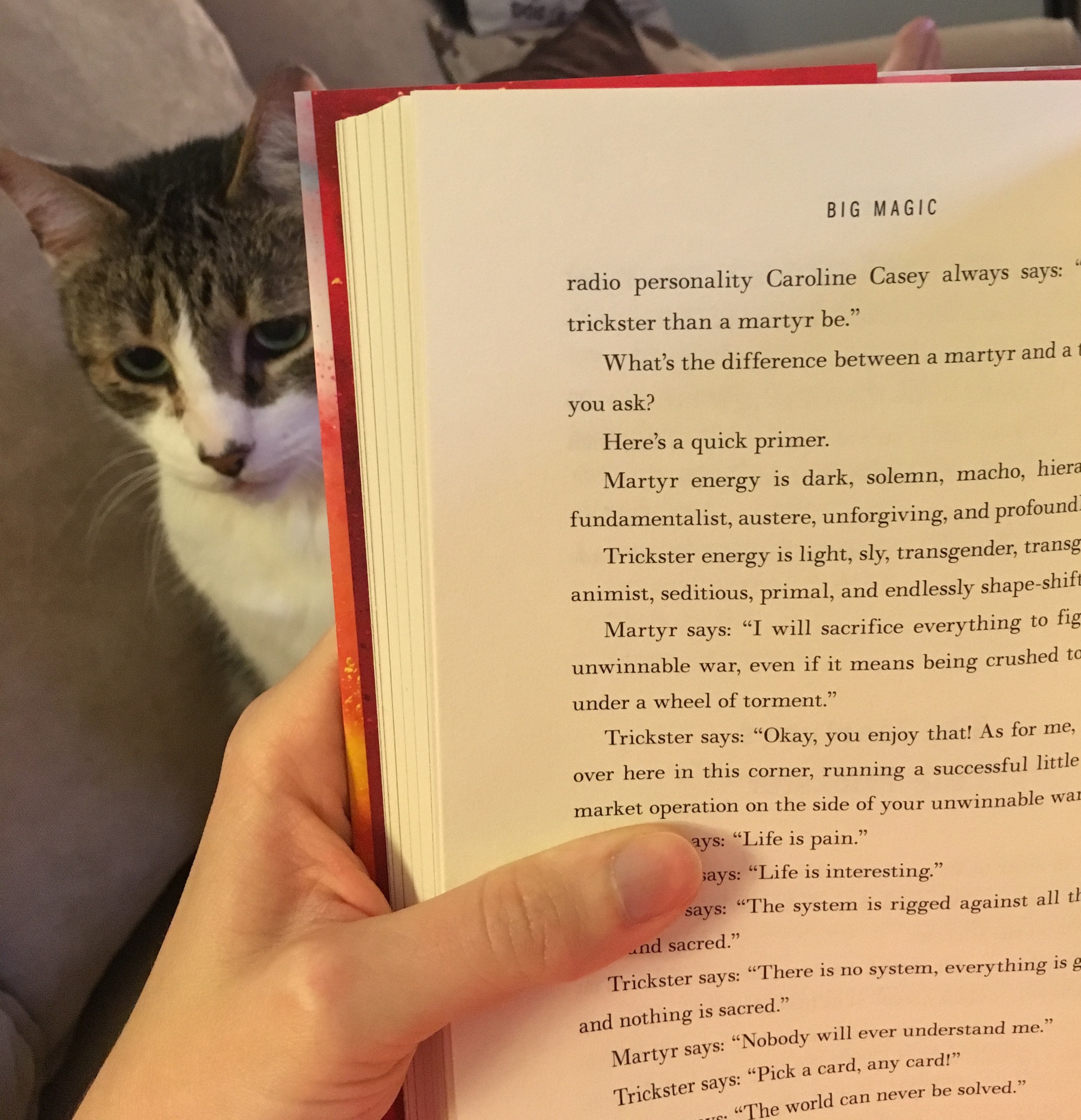 Even Oscar recommends Big Magic!