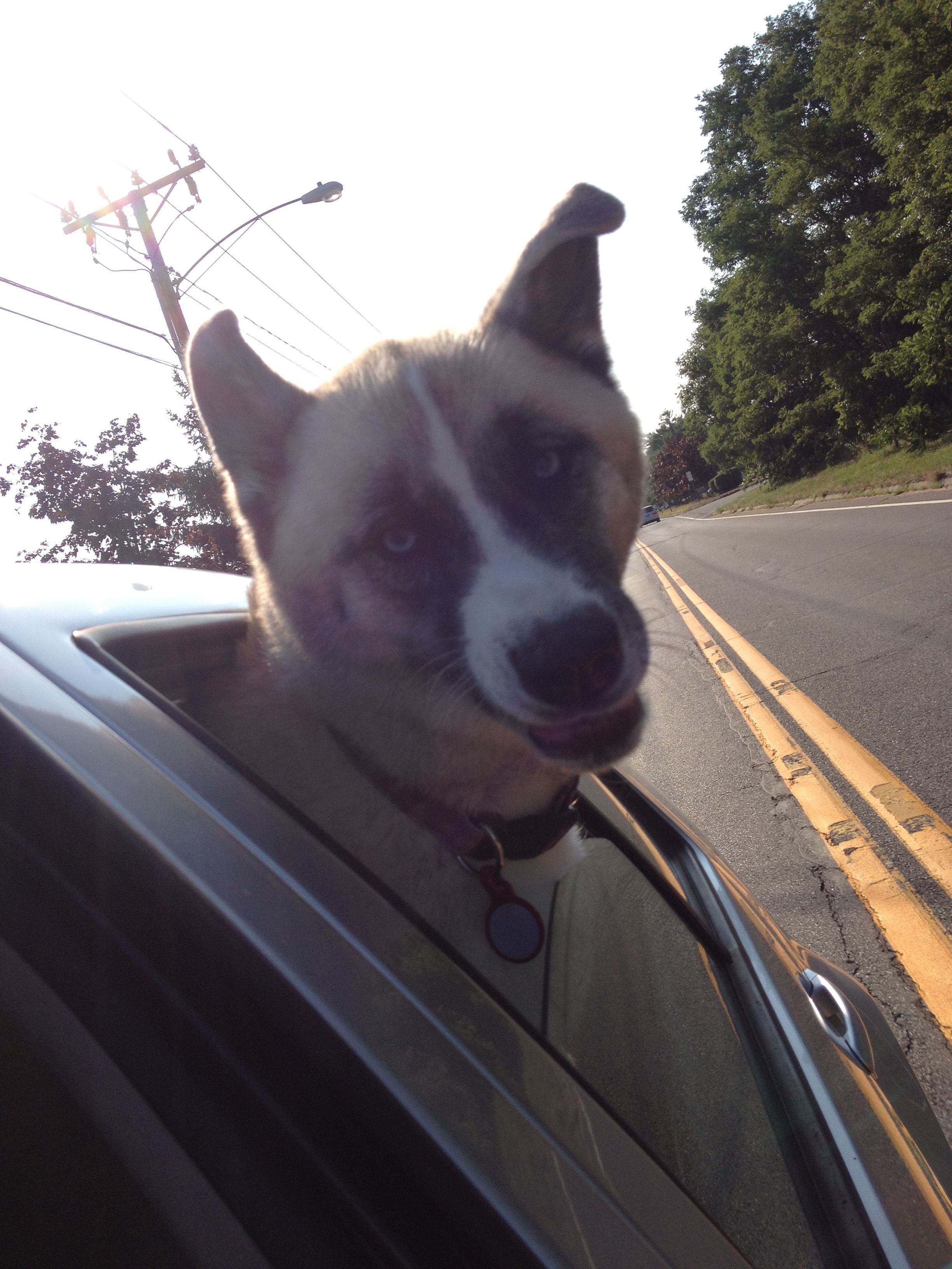What a doofus!