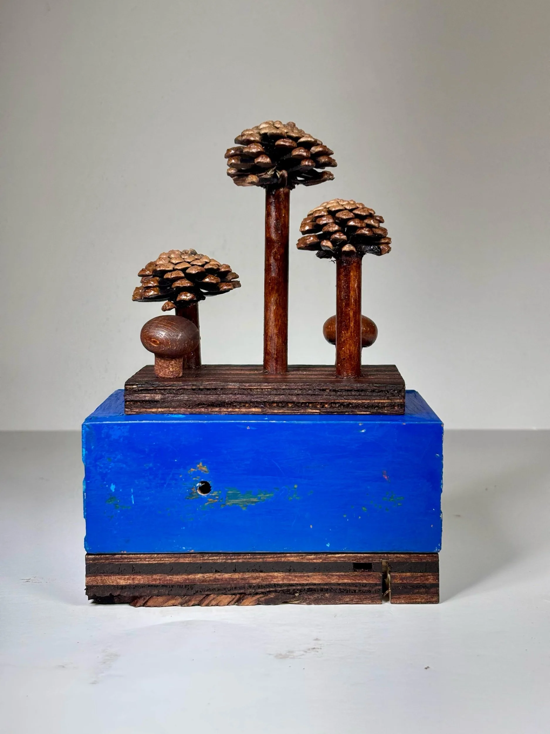 A5AF7A6D-FB01-4D32-9C3D-D5D813049E5B.jpeg