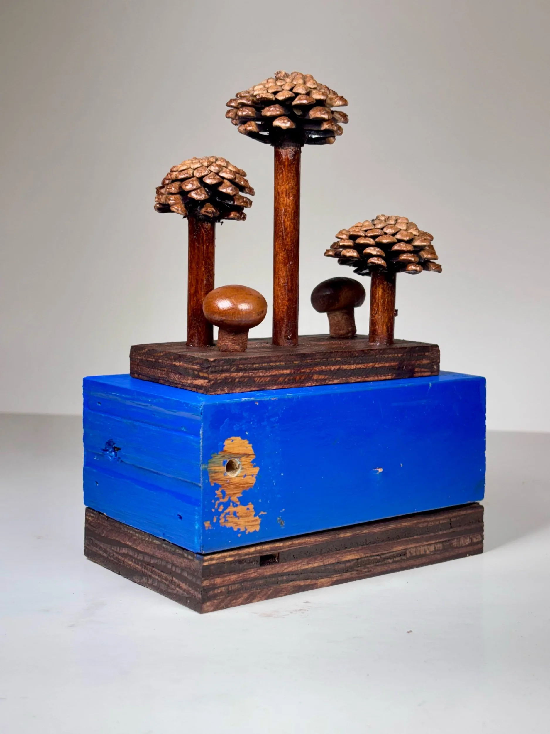 #224 Redwood Blue Root