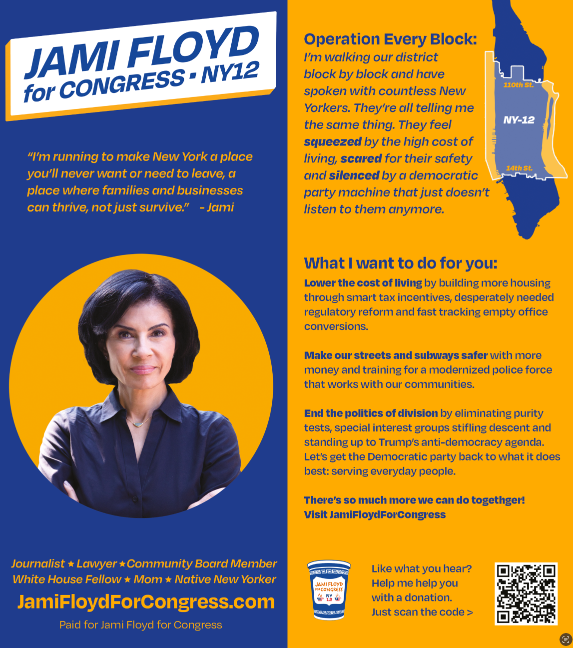 Jami Floyd for Congress Flyer