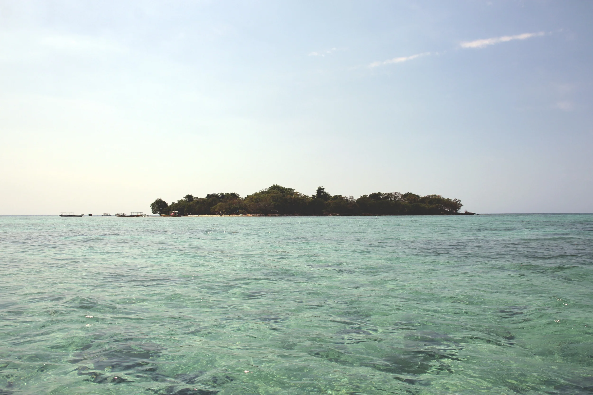 IMG_5516.jpg