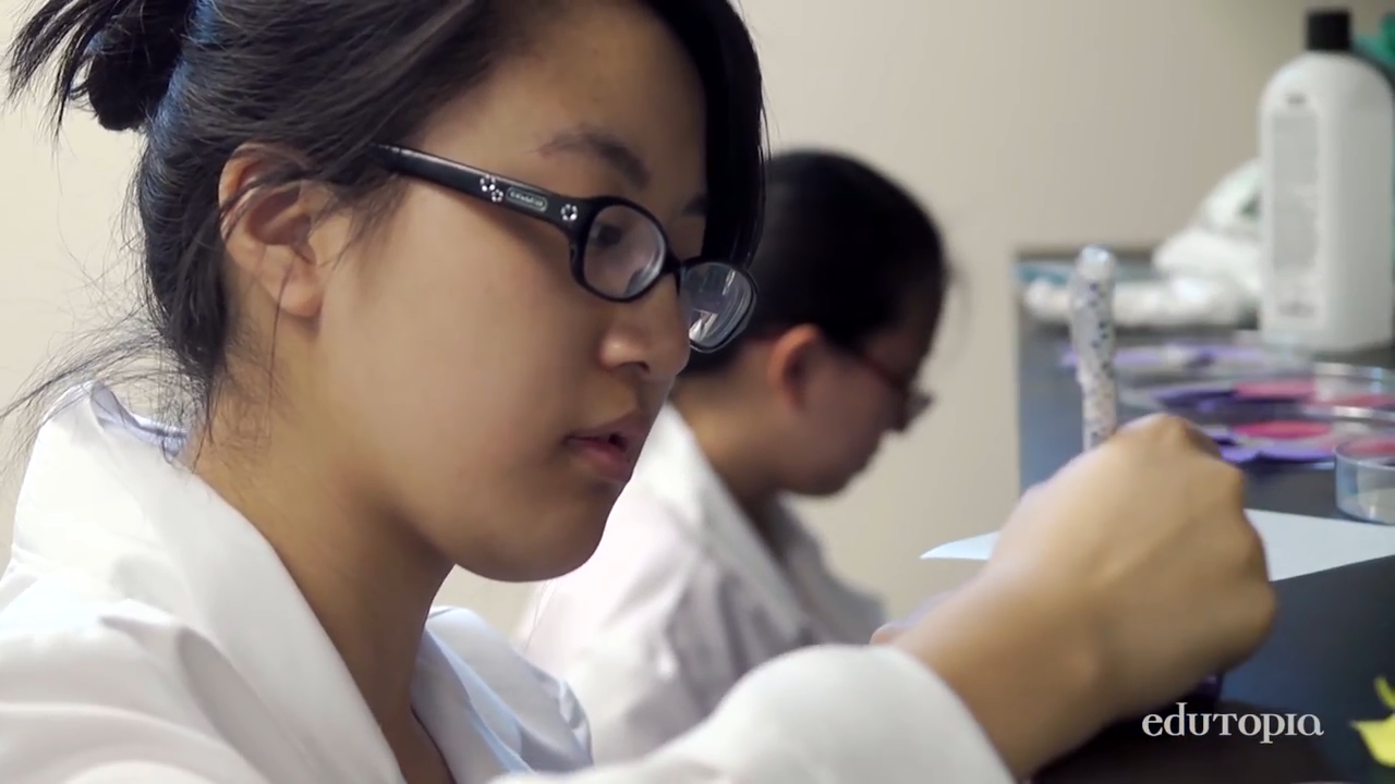 High Tech High's Vocational and Academic Model.mp4.00_01_55_09.Still001.png