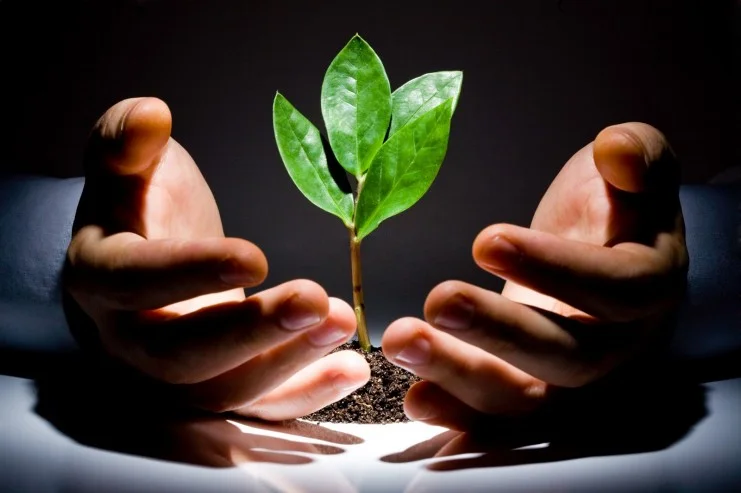 What’s the difference between Angel Investing, Venture Capital and Private Equity?