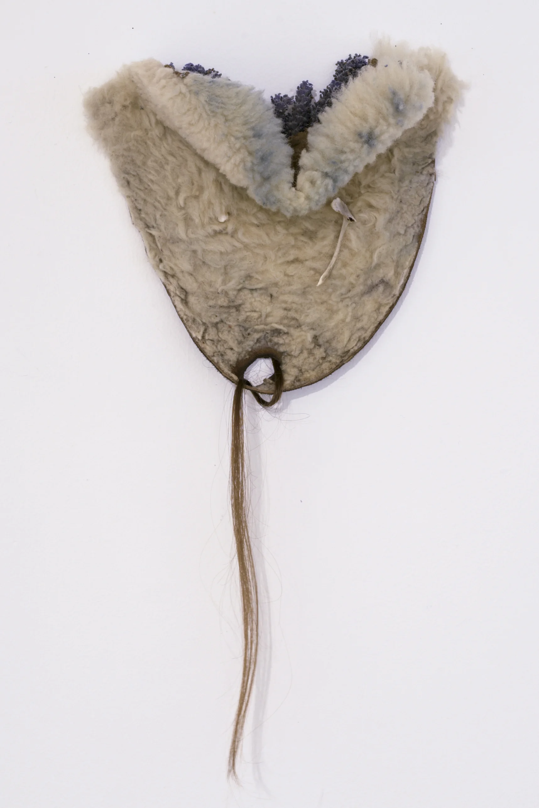 Spoils, 2016, found ugg boot upper, lavender, hair, tooth fragment, wishbone fragment, approx H 60cm x W 25cm x D 7cm
